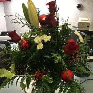 Meet your Posher, Sophia